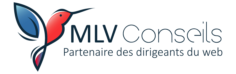 Accompagnement entreprise et entrepreneur - MLV Conseils
