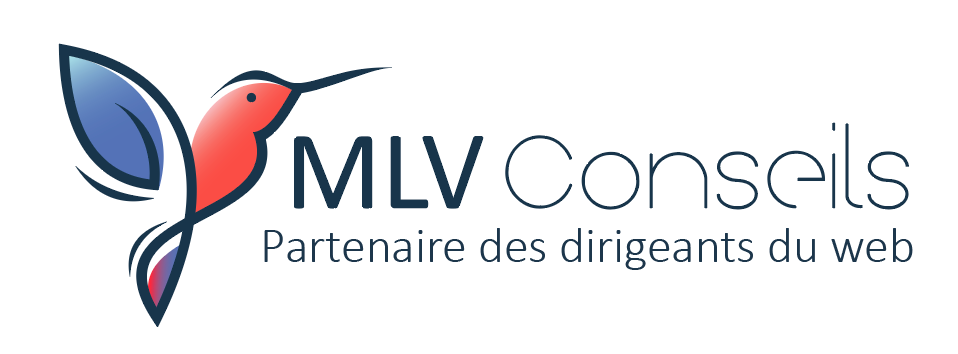 MLV Conseils, partenaire opérationnel des dirigeants du web